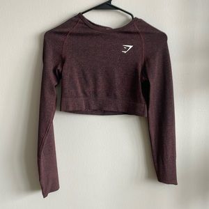 Gymshark seamless long sleeve crop top